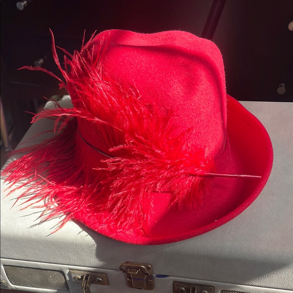 Vintage Elegant Red Feathered Women's Hat - Doeskin felted wool